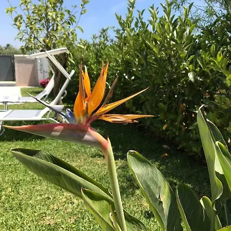 Villetta San Leone * Αγκριτζέντο