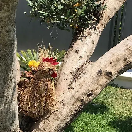 Holiday home Villetta San Leone *