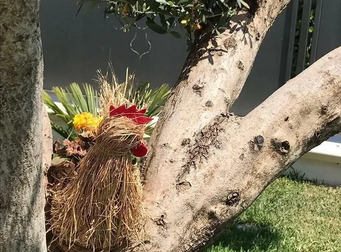 Σπίτι διακοπών Villetta San Leone *