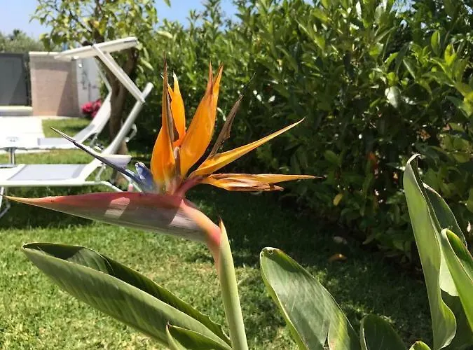 Villetta San Leone * Агрідженто